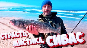 Страсть, мистика, сибас