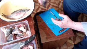Как почистить карася да легко , если чистить ложкой.