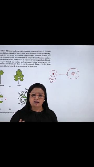Biology Mam Teaching Plant cell(Biology) смотреть онлайн