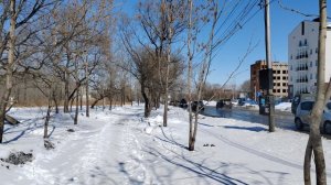 399. Хабаровск. ДДЖД - Краснодарская 33. 29.03.25.