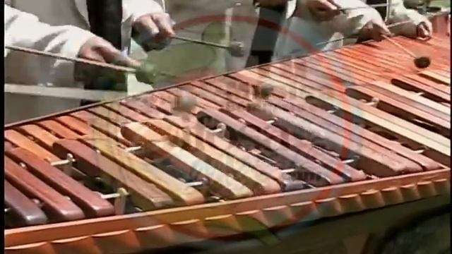 Marimba Maderas Chapinas - Mi Lupita Musica de Guatemala смотреть онлайн