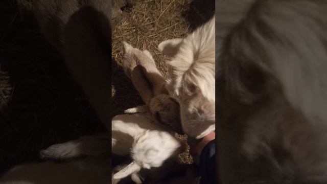 это не реклама