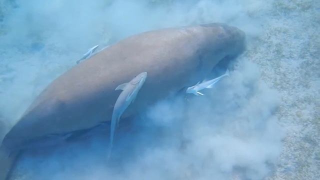 First Meeting-  First Love!Iberotel Costa Mares 2021,may!