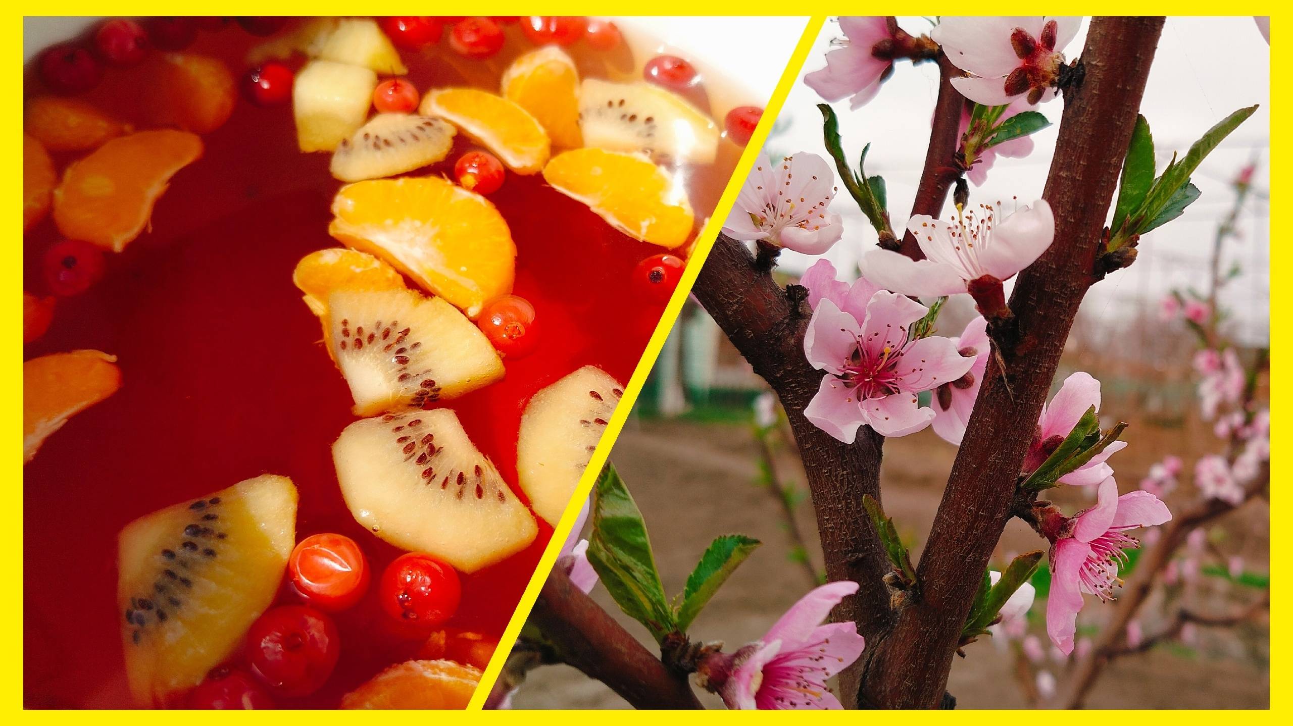 Зеленый человечек.Вкусно, ярко, полезно.Ещё один продуктивный день. смотреть онлайн