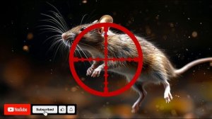 ВЫСОКОЧАСТОТНЫЙ ЗВУК ПРОТИВ ГРЫЗУНОВ. Неприятный звук для мышей #3