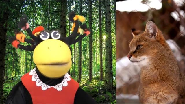 Камышовый кот смотреть онлайн