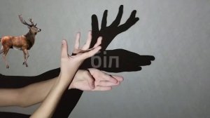 СДЕЛАЙТЕ ТЕНИ ЖИВОТНЫХ ВРУЧНУЮ | ТЕАТР ТЕНЕЙ | ЖАНУАРЛАР КӨЛЕҢКЕСІН ҚОЛМЕН ЖАСАУ | КӨЛЕҢКЕ ТЕАТРЫ |