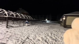 Ночной обзор 😂#ромавика #смититони #фарадэйихлоя #андрейроманович #бигль #чёрныйалабай