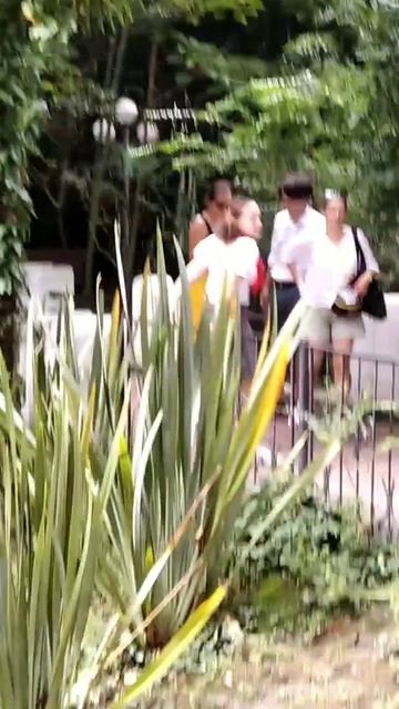 #shorts# Мир экзотических птиц и растенийl Важный пеликан и чёрный красавец лебедь смотреть онлайн