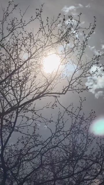 #Sun#eclipse#suneclipse#medved#ny#nyc#newyork#usa#bryantpark#солнечноезатмение#затмение#travel смотреть онлайн