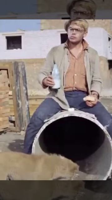 video 2020 11 20 13 40 17 смотреть онлайн