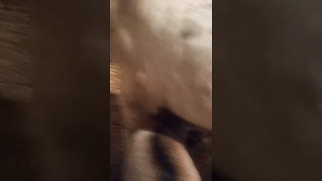 так держать