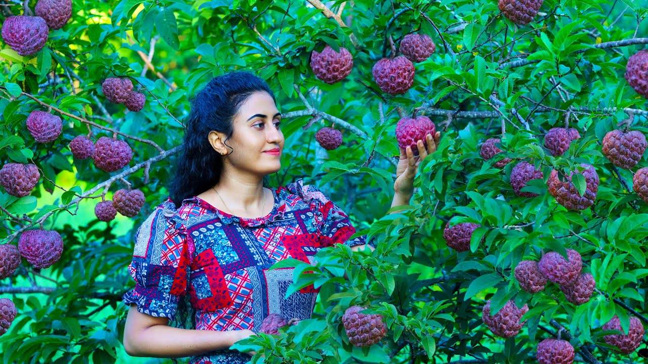 Яблоки в сливочном заварном креме 🍎 Приготовление булочек на пару и рулетиков с джемом из шелковицы