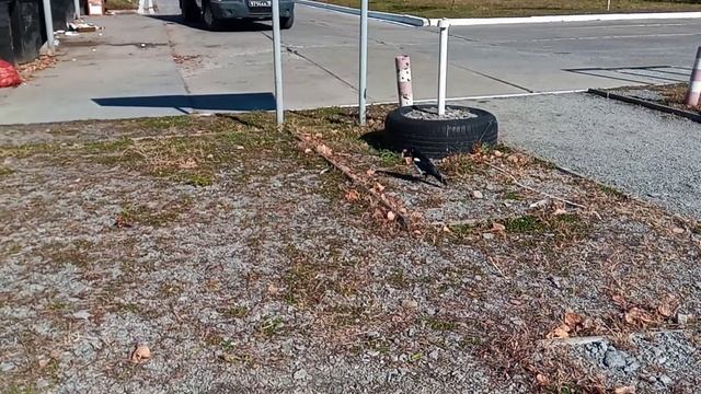 VID 20211012 124831 Сорока смотреть онлайн