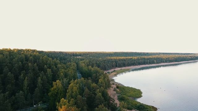 Ресторан «Ель» смотреть онлайн