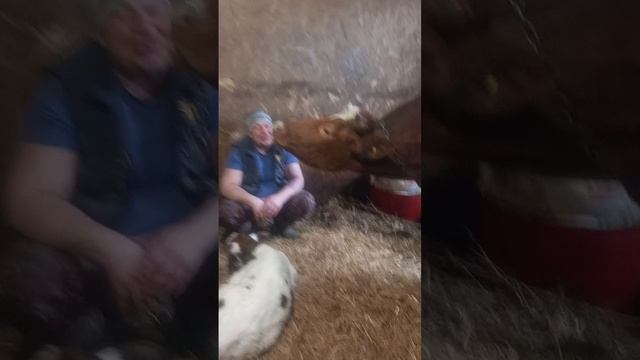 знакомство