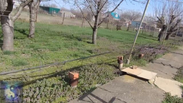 Обзор виноградника 29.03.25г смотреть онлайн