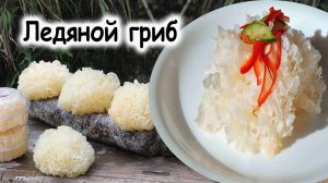 Ледяной гриб