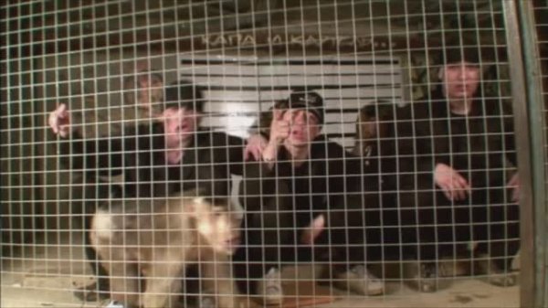 КАПА и Картель - Капа и Картель (Official Video)