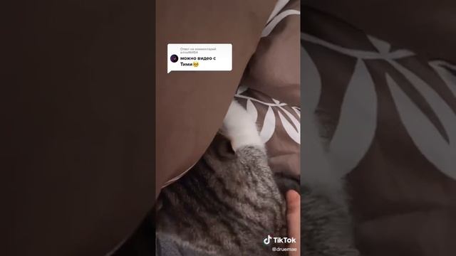 НУ ЕМАЕ | Druemae смотреть интересные видео о повседневной жизни с #тикток #тренд #НУЕМАЕ #SHORTS смотреть онлайн