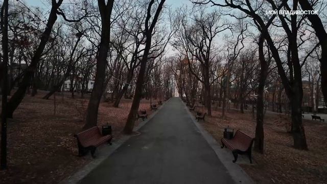 Владивосток утро Покровский парк (24 ноября 2024). смотреть онлайн