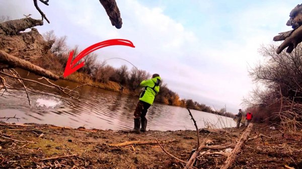 СЕРДЦЕ ЗАМИРАЕТ ОТ ТАКИХ ПОКЛЁВОК! ОНИ ИЗ РУК УДОЧКУ ВЫБИВАЮТ! Рыбалка весной на спиннинг