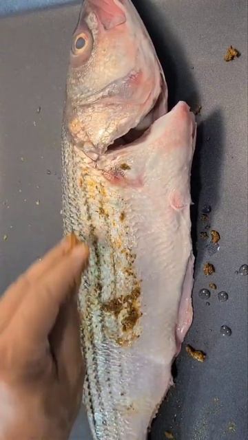 Best Seasoning Rockfish @naderskitchen188 смотреть онлайн