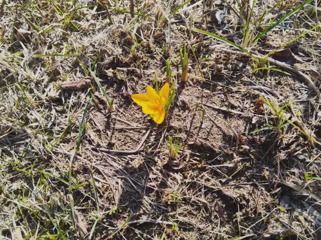 ЗАМЕЧАТЕЛЬНЫЕ ВЫХОДНЫЕ. Суббота смотреть онлайн