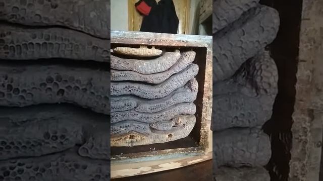 Внутри улья Варрэ смотреть онлайн