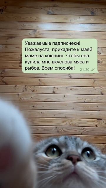 А еще хозяйка дарит бонус за подписку в инст💃🏻 Отправляйте в директ @natalykrukova слово БОНУС смотреть онлайн