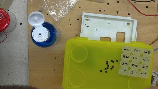 Uszkodzona klawiatura LCD SATEL CA-10 смотреть онлайн