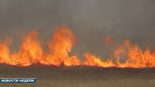 Новости недели 29 марта 2025 (ТВ-5 Приаргунск)