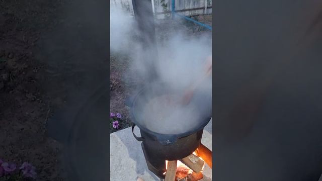 В гостях у ненешки