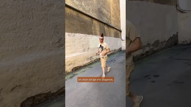 Главный человек в доме: дворник. смотреть онлайн