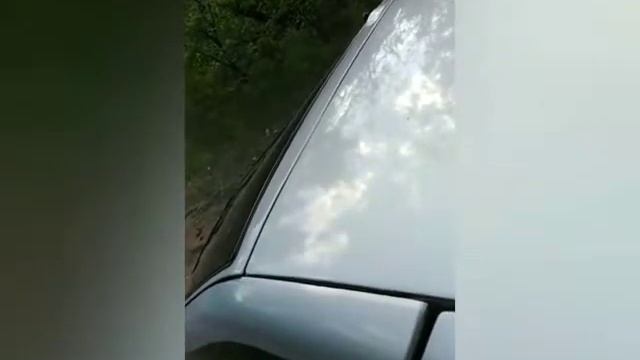 Machete sport m12d2 смотреть онлайн