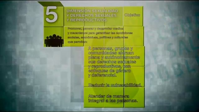 Dimensiones del Plan Decenal de Salud Pública 2012 - 2021 смотреть онлайн