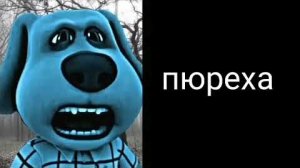 Твоя любимая еда:    [Бен]