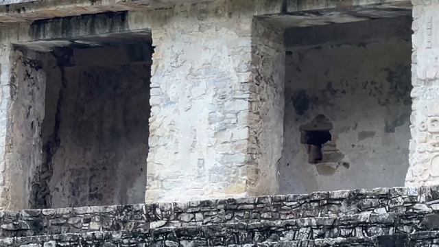 Паленке Мексика - пирамиды Майя, затерянные гробницы смотреть онлайн