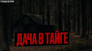 Дача в Тайге. Они хотели отдохнуть, а стали героями СНАФФ Видео. Таежные Истории. Ужасы  Аудиокнига