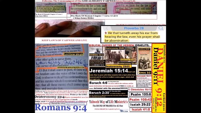 America Killed GODS CHOSEN People For 400 Years NEGRO Slaves Are The Real JEWS From Jerusalem смотреть онлайн