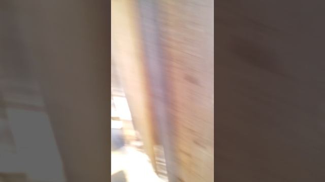 Я катался на велеке а ребята на тачке с вами Geo Stepan и Рома некет и вол смотреть онлайн