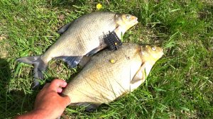 Рыбалка на леща 2021! Рыбалка на Оке!