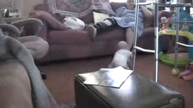 Will atacking Grandma's foot смотреть онлайн