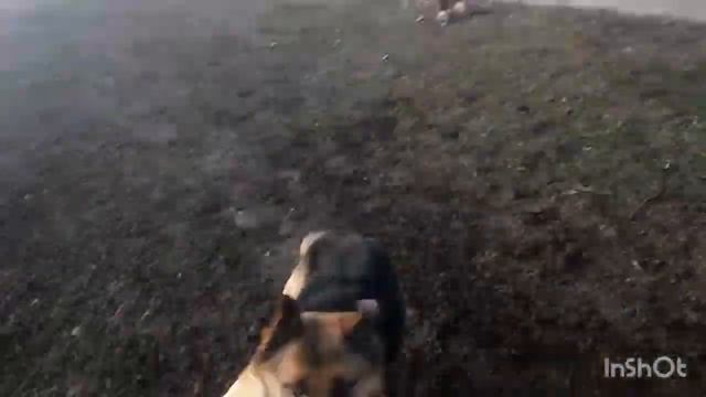 В ПРАЗДНИКИ У НАС ТРЕНЕРОВКИ НИКТО НЕ ОТМЕНЯЛ!С РОЖДЕСТВОМ ДРУЗЬЯ!