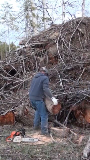 Some Slash Gets Burned Some Gets Turned Into Firewood!