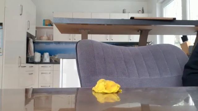 playdo vanich смотреть онлайн