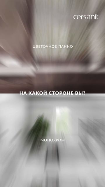 Даже у таких противоположностей есть кое-что общее 🙌🏻 смотреть онлайн