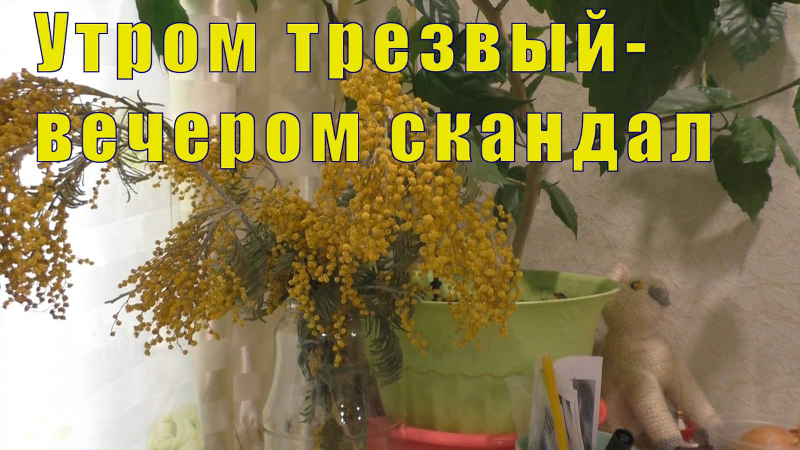 УТРОМ ТРЕЗВЫЙ - ВЕЧЕРОМ СКАНДАЛ /МАМУЛЬКА С ОЧКАМИ / 28 марта 2025 смотреть онлайн