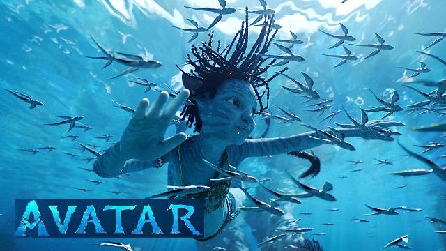 Дайв на корабль в Адаманском море о. Пхукет, Тайланд 03.2025 г.💯🪸🦈🐠⛵️