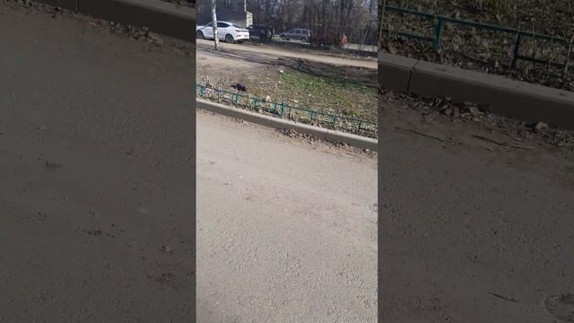 20250327_161410 смотреть онлайн